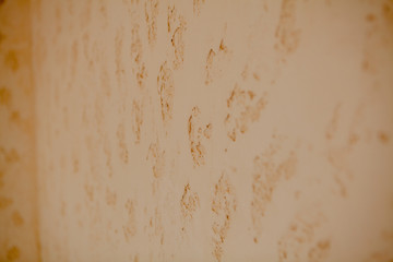 Fototapeta premium background, decorative plaster on the wall, horizontal, texture, structure