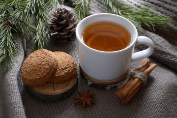 Cup of lemon tea cookies cinnamon fir branch Winter holidays concept Cozy home