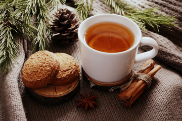 Cup of lemon tea cookies cinnamon fir branch Winter holidays concept Cozy home