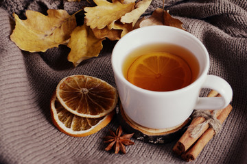 Cup of lemon tea dried oranges cinnamon Autumn concept Cozy home