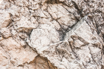 Stone texture background of the rock