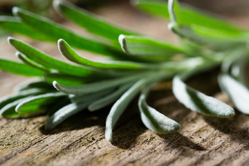 Obraz premium lavender leaves on old wood table