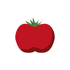 tomato fresh isolated icon
