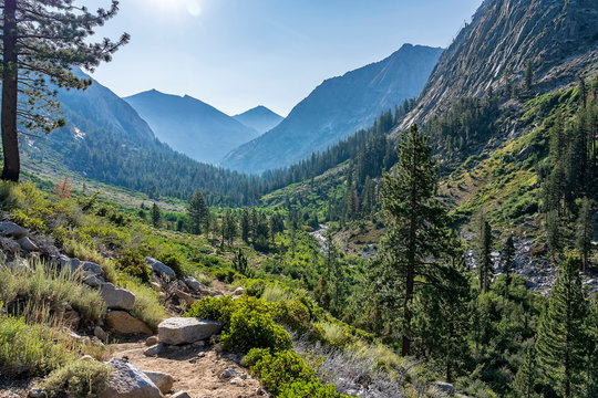 Looking down the Canyon, Sierras, CA