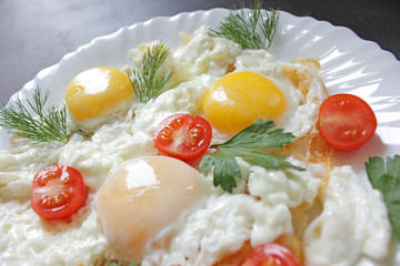 Scrambled eggs with tomatoes and herbs
