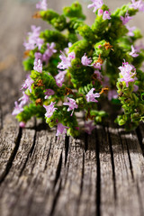 fresh oregano flowers, leaves on old wooden table, macro
