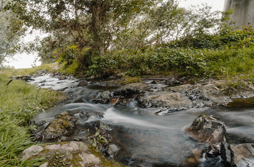 Flowing Water cascade of Mountain River with Bed Stones streaming down in the forest