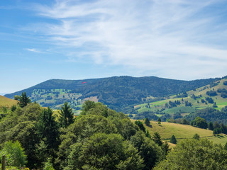 Paysage typique de For&ecirc;t-Noire dans le Bade-Wurtemberg en Allemagne. Fr&ouml;hnd 