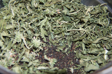 green tea leaves background