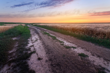 Fototapeta premium trail on the field during sunset / sunset evening landscape of the field of Ukraine