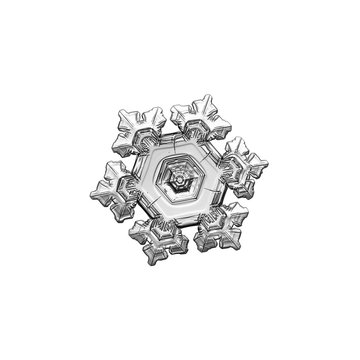 Snowflake isolated on white background. Macro photo of real snow crystal: small, elegant star plate with glossy relief surface, short broad arms, fine hexagonal symmetry and complex details inside.
