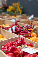 Variety of colourful sweet and chili peppers on sale at Eataly up-scale food market in Turin, Italy.