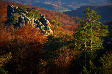 Obraz premium Autumn Landscape, Ukraine