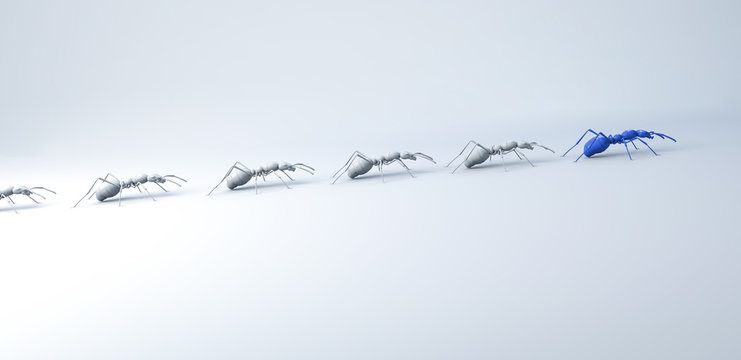 Ameisen - Konzept Anf&uuml;hrer, Leitung oder Wettkampf