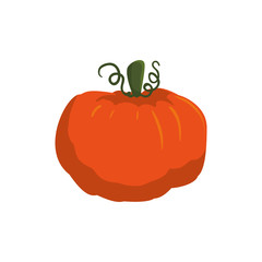 fresh pumpkin vegetarian food