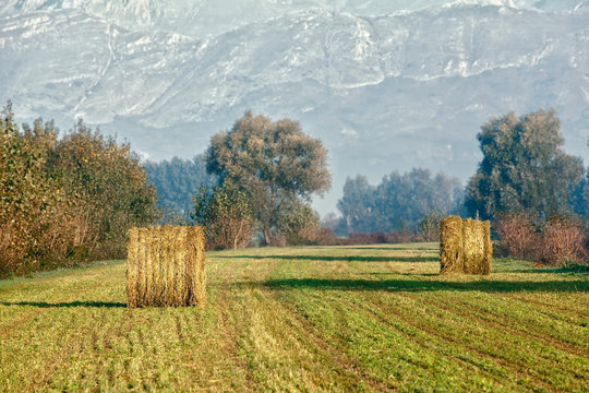 rotoballe di foraggio nella campagna abruzzese