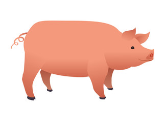 pig animal farm icon