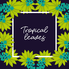 tropical natural leaves