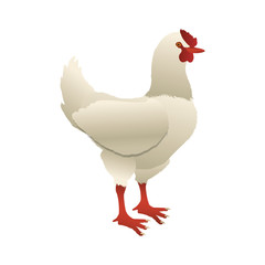 hen animal farm icon