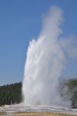 GEYSER OLD FAITHFUL YELLOWSTONE NATIONAL PARK (WYOMING) USA 