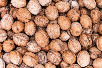 heap of walnuts as background