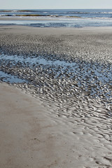 Textured Tidepool By the Sea