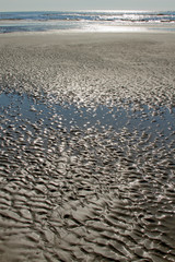 Tide Pool Left Behind By the Sea