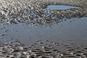 Tidepool Ripples of Textured Light