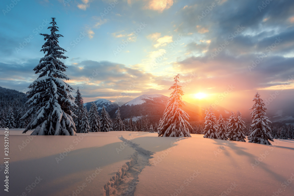 Wall mural fantastic orange winter landscape in snowy mountains glowing by sunlight. dramatic wintry scene with