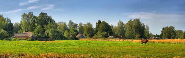 Fototapeta na wymiar Panorama of a summer landscape with a village and a cow