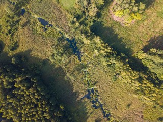 Small stream in morning forest.