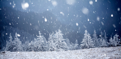 Trees covered with hoarfrost and snow in winter mountains - Christmas snowy backgroundic holiday background