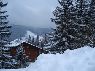 Fototapeta premium maison entre les arbres en hiver à la montagne