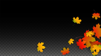 September Vector Background with Golden Falling Leaves. Autumn Illustration with Maple Red, Orange, Yellow Foliage. Isolated Leaf on Transparent Background. Bright Swirl. Suitable for Posters.