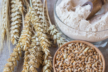 Spikelets of wheat, grains of wheat and oats in boxes, flour in boxing close-up