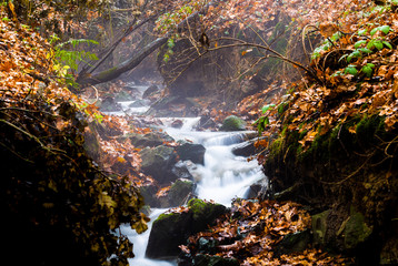 Stream with trees and rocks in mountain in Autumn.