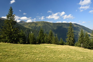 Summer landscape in the Carpathian Mountains (Romania).