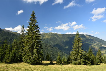 Summer landscape in the Carpathian Mountains (Romania).