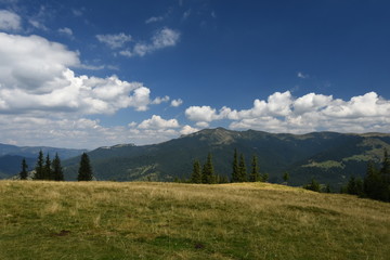 Fototapeta na wymiar Summer landscape in the Carpathian Mountains (Romania).