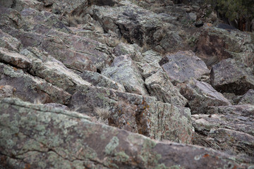 Moss rock desert texture of rock