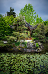 Serene and Peaceful Chinese Pagoda nestled in trees on a pond