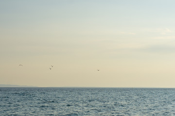 Sea water on sunny day, nature background. Ocean view on sunny summer day