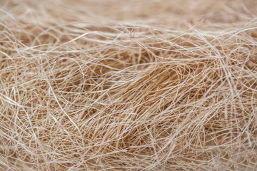 golden hay background