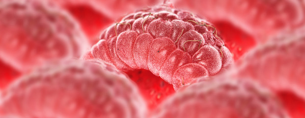 Aerial red raspberries and dark blue blueberries on a light substrate. White background.