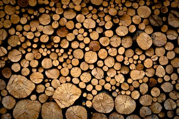 Möbelaufkleber Wood logs stock background texture © bdavid32