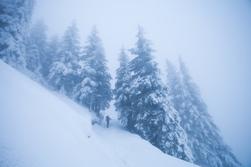Hikers in beautiful winter landscape