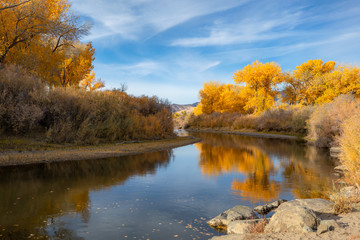 Deer in the River Bend