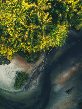 River in the jungle II