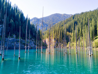 Kaindy Lake in South East Kazakhstan, taken in August 2018taken in hdr taken in hdr