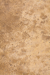 Brown Sandstone surface with space for your text. Vintage light brown wall color with gradient transition for your advertising in the vertical version. The texture of the wall of an ancient building.